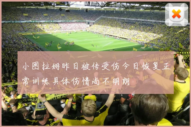 小图拉姆昨日被传受伤今日恢复正常训练具体伤情尚不明朗