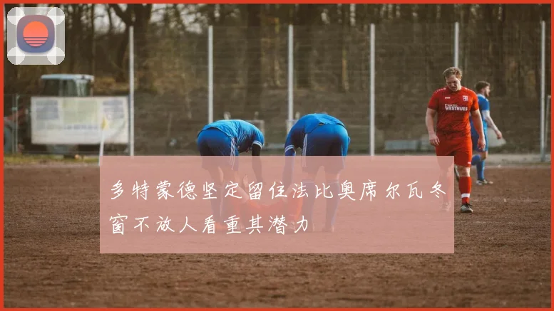 多特蒙德坚定留住法比奥席尔瓦冬窗不放人看重其潜力