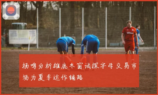 杨鸣分析雄鹿冬窗试探字母交易市场为夏季运作铺路